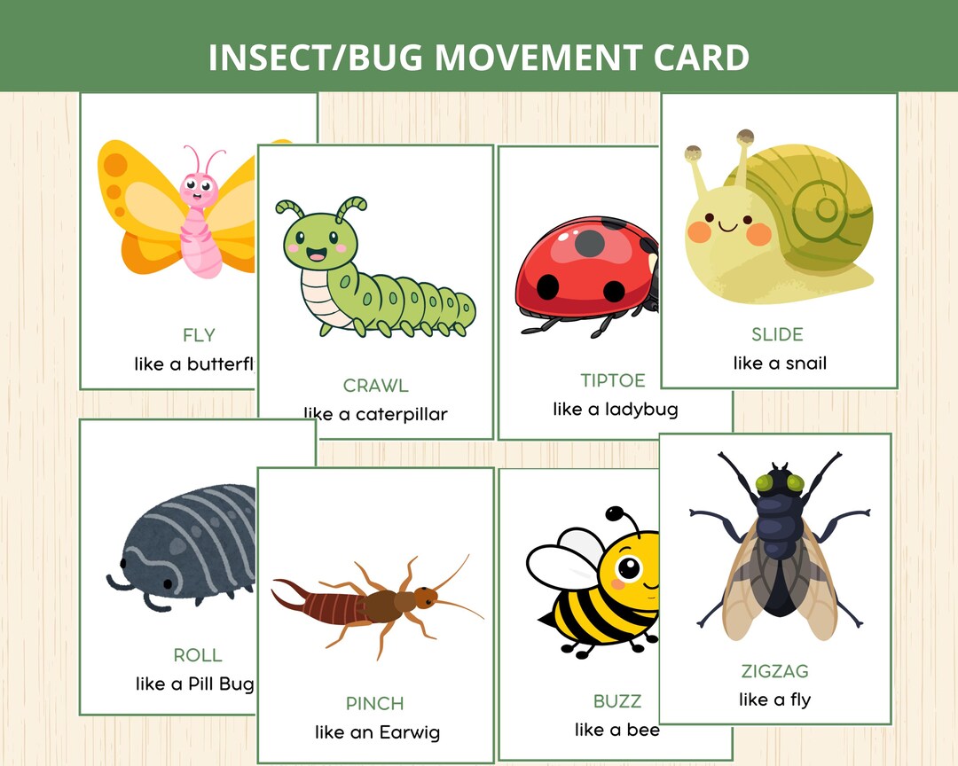 Insect Movement Cards,bugs Movement Cards,insect Activity Cards,bug ...