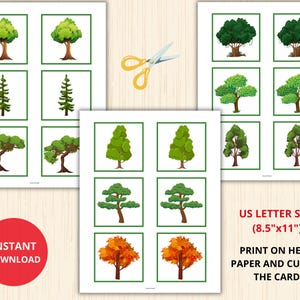 Tree Memory Game,tree Matching Game,tree Unit Study,nature Memory Game ...