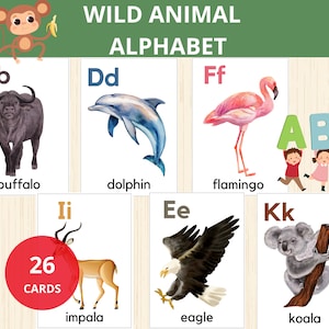Cartes mémoire animaux sauvages,alphabet animaux de la jungle,vocabulaire animaux sauvages