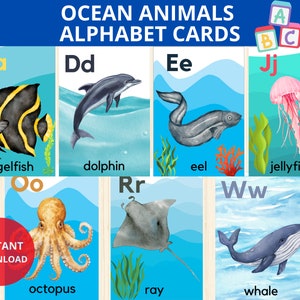 Ocean Alphabet Cards,Ocean Animal Flash Cards,Montessori,World Ocean Day,Under the Sea Alphabet,Sea animals flashcards,world ocean,preschool