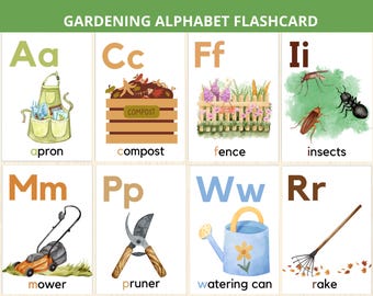 Schede Flash Abc Alfabeto Per Bambini Lettere Di Apprendimento Foglio Di Lavoro Gm1164759178 320255030