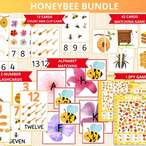 honeybee bundle,bee unit study,bee Busy Book,montessori bee activity,bee flashcards,bee learning,morning basket,Nature Study,Bee Life Cycle