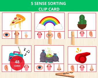 Tarjetas de Clip de los Cinco Sentidos, Juego de Clasificación de los Cinco Sentidos, Clasificar y Emparejar, Jardín de Infantes, Preescolar, Niños Pequeños, Juego de Emparejamiento, Actividades de Emparejamiento
