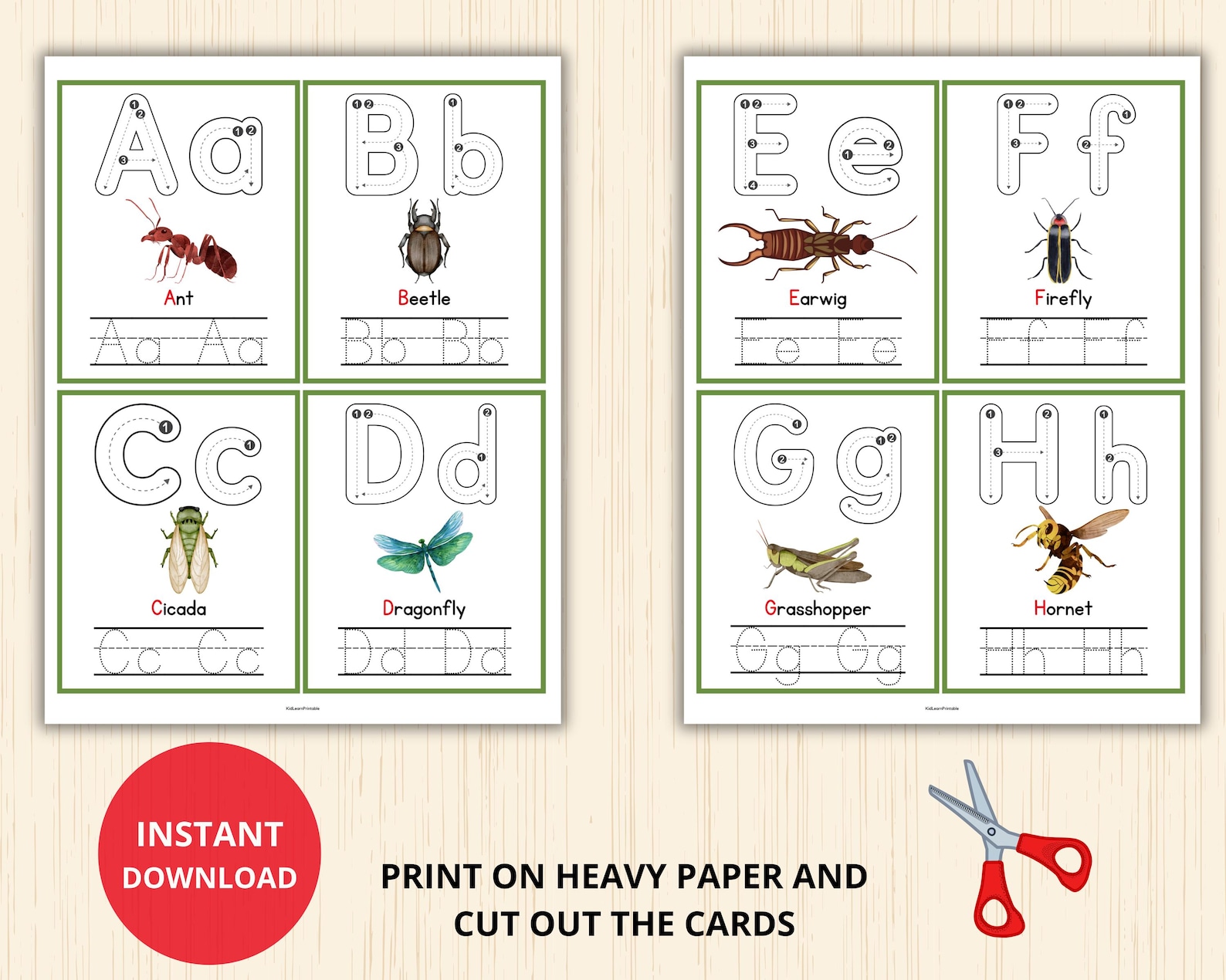 Bug Alphabet Tracing Cards,insect Letter Tracing,bug Alphabet Worksheet ...