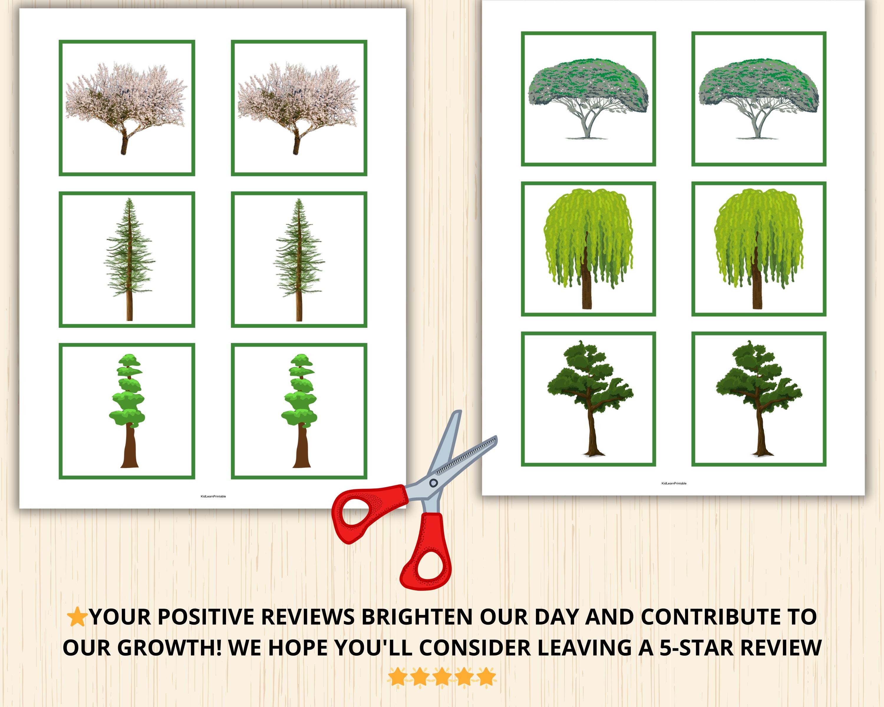 Tree Memory Game,tree Matching Game,tree Unit Study,nature Memory Game ...