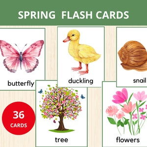 Flashcards de primavera, cartões de vocabulário de primavera, cartões da natureza, caixas sensoriais, flashcards pré-escolares, jardim de infância, cartões montessoris, atividade de primavera