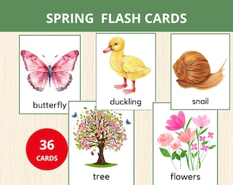 Spring flashcards, Spring vocabulary cards,Nature Cards,sensory bins,Preschool Flashcards,kindergarten,montessori cards,spring activity