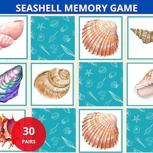 Juego de memoria de conchas marinas, tarjeta de memoria de verano, juego de memoria de playa, actividad de fiesta en la playa, juego de combinación de conchas marinas, actividad montessori de playa, prek de verano