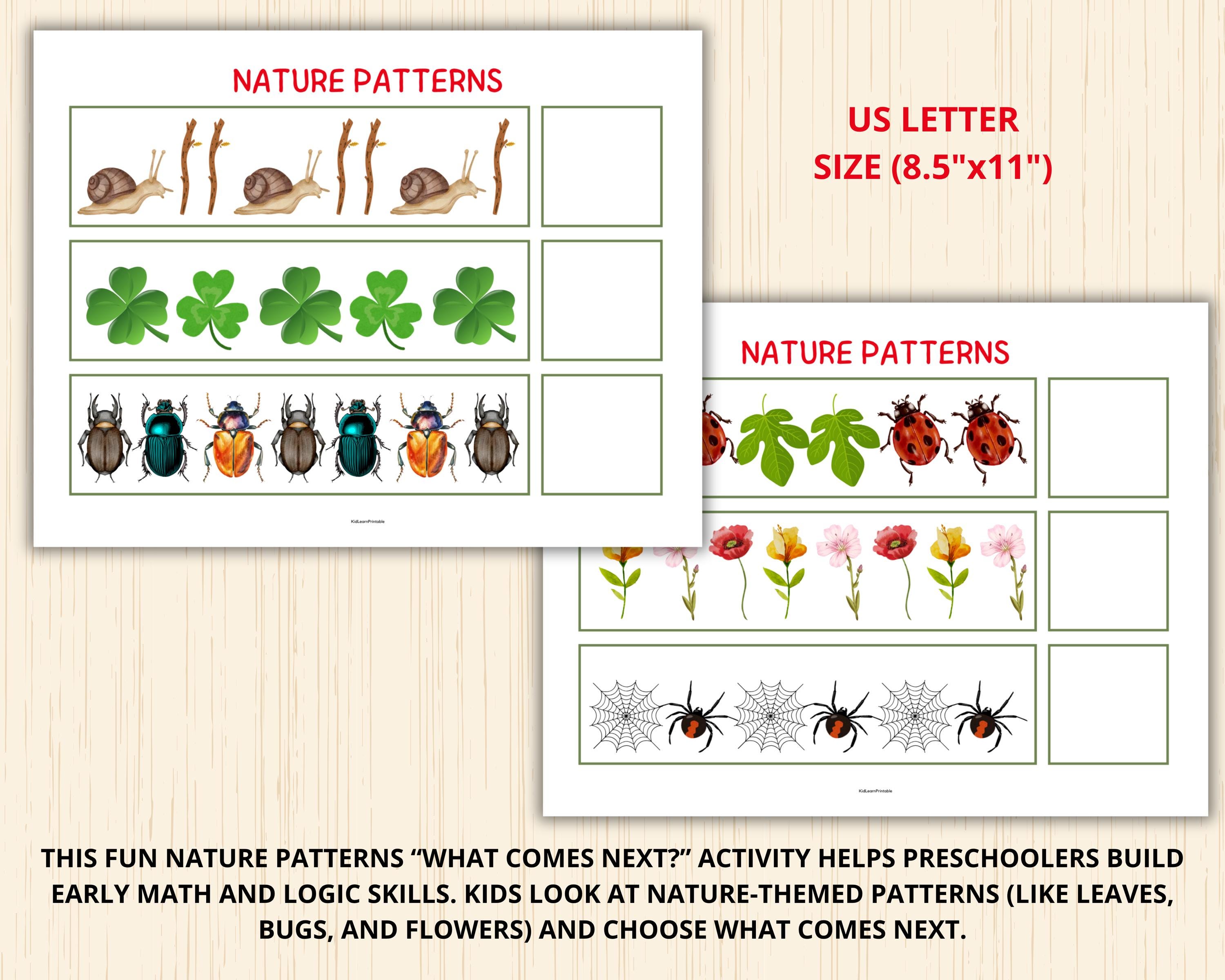 Patterns In Nature Activities For Kids