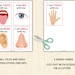Five Senses Sorting Activity, 5 Sense Activities,5 Senses ...