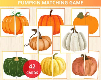 Matching pumpkin,Fall Activity for Kids,pumpkin Toddler Activity,Sensory Table,autumn montessori,symmetry puzzle,2 piece puzzle,pumpkin prek