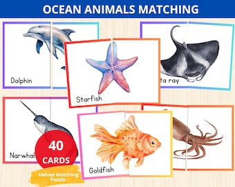 海の動物マッチングゲーム、海の動物の幼稚園アクティビティ、海のマッチングアクティビティ、動物マッチングパズル、動物パズルペア、対称性マッチ