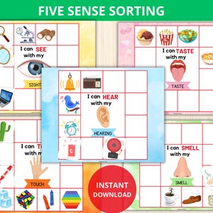 Five Senses Sorting Activity,5 Senses Sorting,Busy Books Activity,5 Senses Classification Game,Busy Bags Idea,sort and match game,kinder