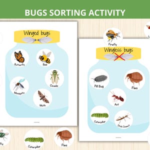May include: Educational chart titled "BUGS SORTING ACTIVITY" featuring illustrations of insects. The chart is divided into "Winged bugs" and "Wingless bugs" categories, with various bug illustrations like butterflies, bees, and ants. The chart is designed for educational purposes.