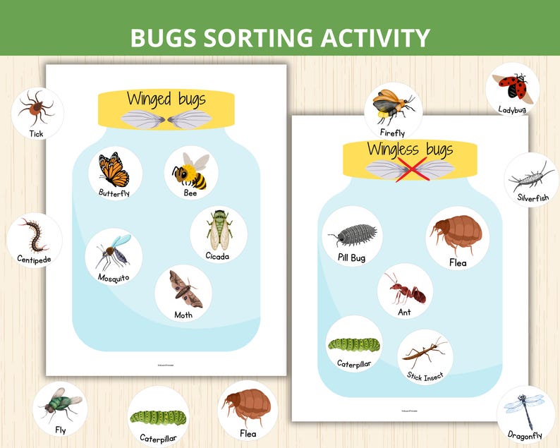 Bugs Sorting Activity,insect Sorting Game,preschool Insect,bug Unit ...