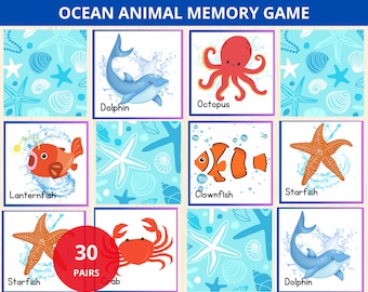 Ocean animal memory game,ocean Matching Game,Sea animal Matching activity,sea animal Preschool activity,Under the Sea Games,ocean flashcard