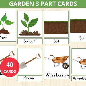 Tarjetas de jardín Montessori de 3 partes, jardín de tres partes, preescolar de jardinería, tarjetas didácticas de jardín, jardín de infantes, escuela en casa, Montessori, vocabulario de naturaleza