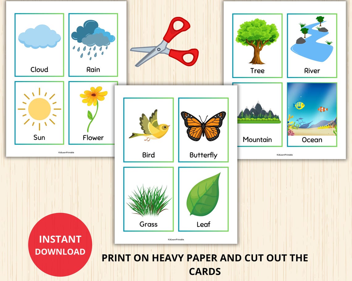 Nature Flashcards,nature Vocabulary,spring Flashcard,nature ...