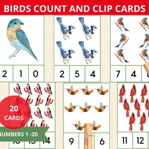 Nombre d'oiseaux et cartes à clip, numéros 1-20, cartes mémoire d'oiseaux, activité sur les oiseaux, imprimable printemps Montessori, préscolaire, maternelle, activité mathématique.