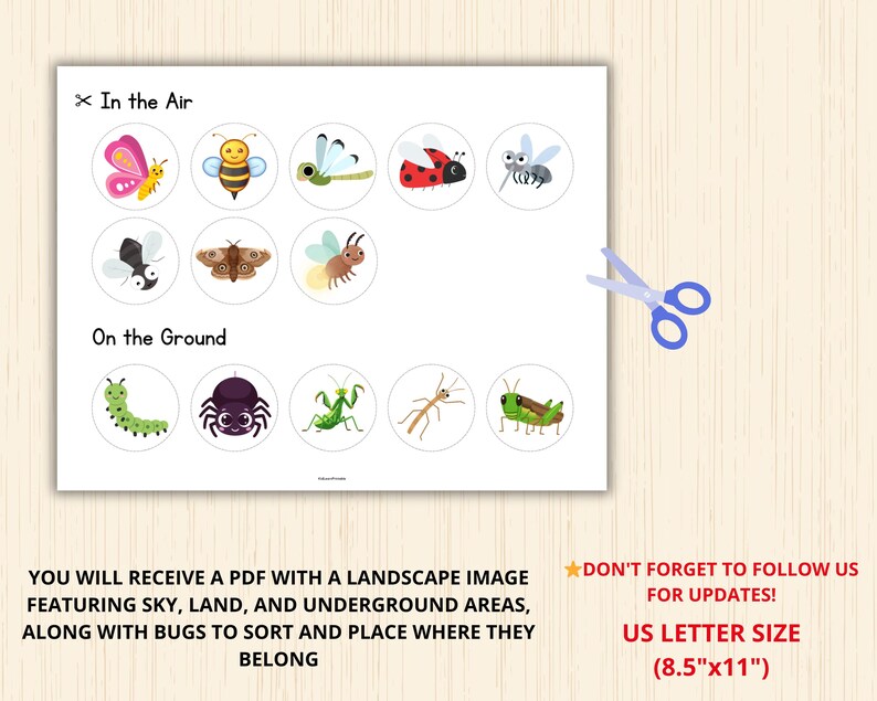 Bug Sorting Chart Bugs Sorting Activity,bug Habitat Activity,bug Classification Game ...