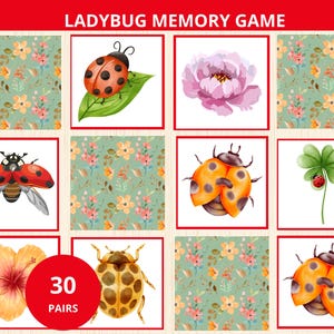 May include: A ladybug memory game with 30 pairs of cards. The cards show watercolour illustrations of ladybirds, flowers, and floral patterns. The game's title is in red text at the top.