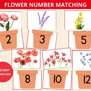 Pode incluir: Um conjunto de cartões de correspondência de números de flores imprimíveis. Os cartões apresentam ilustrações de aquarela de diferentes flores em vasos com os números 2, 3, 5, 8, 10 e 12. O texto "INSTANT DOWNLOAD" é visível no canto inferior esquerdo.