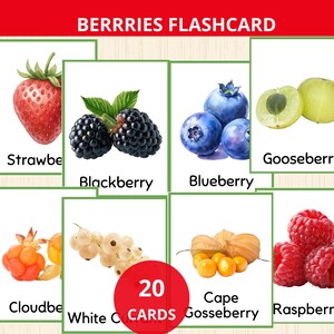 May include: A set of 20 flashcards featuring watercolor illustrations of various berries, including strawberries, blackberries, blueberries, and raspberries. Each card displays the berry's name in a clear, readable font against a white background, with a green border.