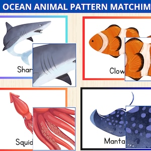 海の動物のパターンマッチアクティビティ、幼児向け海の動物アクティビティ、夏のアクティビティ、海のフラッシュカード、海の単元学習、海の動物の幼稚園