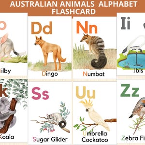 Alfabeto de animales australianos, carteles del alfabeto australiano, tarjetas didácticas del alfabeto ABC, letras de animales ABC, animales nativos australianos, animales australianos