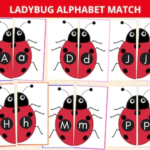 Juego de combinación de letras de mariquitas, letras preescolares, juego de combinación de letras, combinación de letras, reconocimiento de letras, juego de insectos, estudio de unidad de mariquitas, libro de actividades