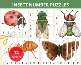 Insect preschool,insect number puzzles,number sequence,numbers 1-10,insect Montessori activiy,bug activities,math puzzles,kindergarten bugs