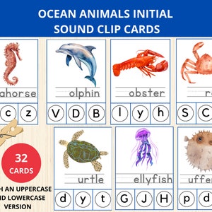 Cartões de clipe de fonética de animais do oceano, atividade sonora inicial, FlashCards de animais marinhos, sons iniciais de animais, FlashCards Montessori pré-escola