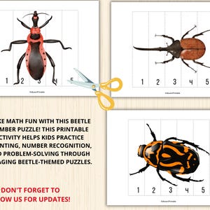 Beetle Number Puzzle,beetle Matching Activity,beetle Symmetry Puzzle ...