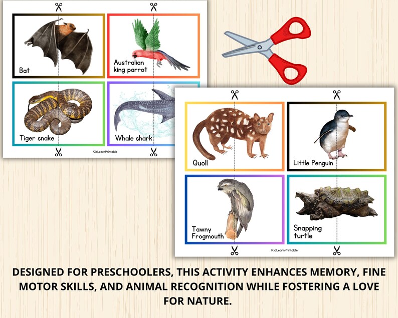 Australian Animals Puzzles,australian Animals Matching Game,australia ...