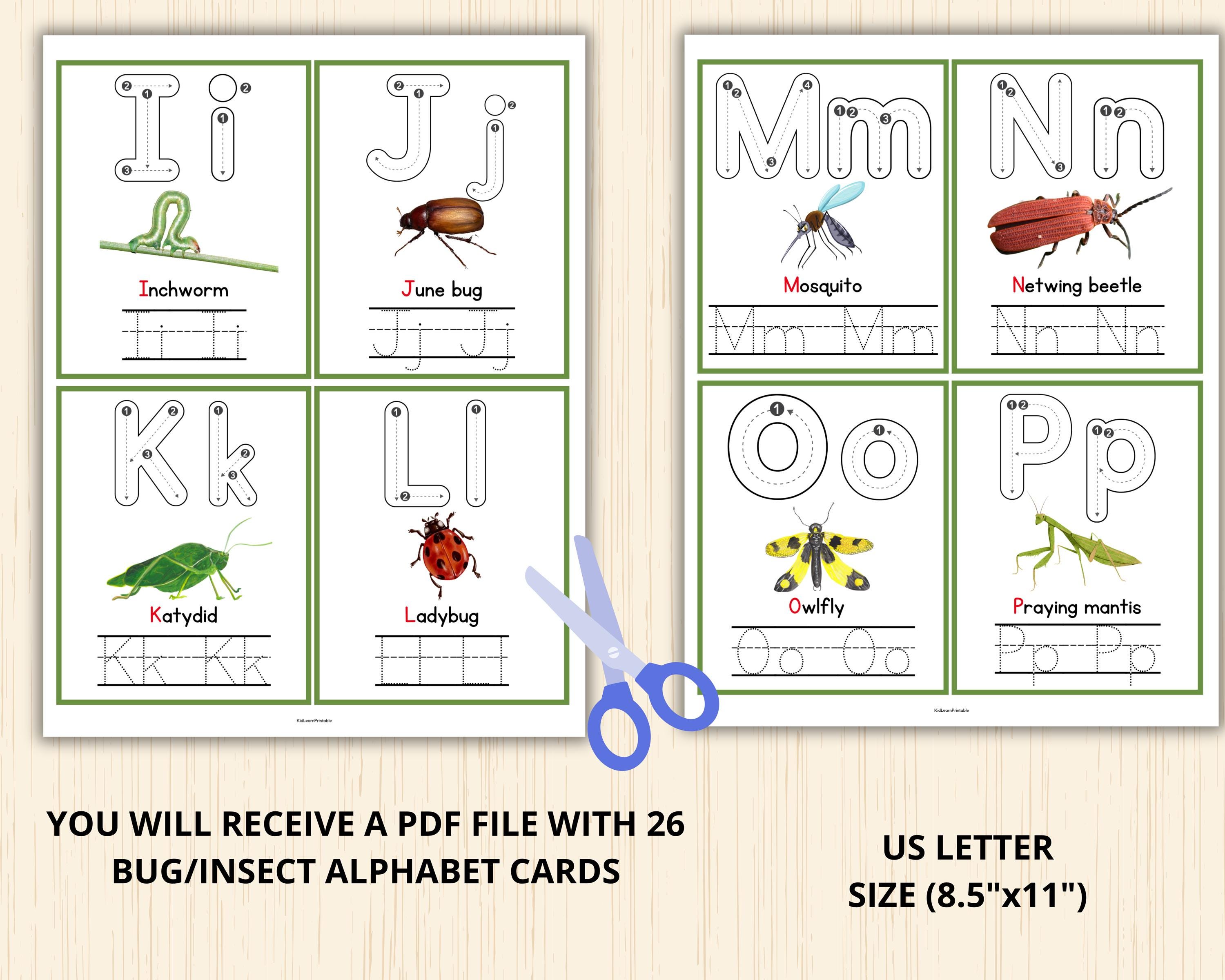 Bug Alphabet Tracing Cards,insect Letter Tracing,bug Alphabet Worksheet ...
