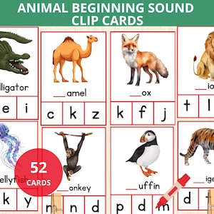 Sons iniciais de animais, pré-escola de animais, sons de letras de animais, cartões de clipe fonéticos, fonética do alfabeto, vocabulário animal, som de letras do jardim de infância