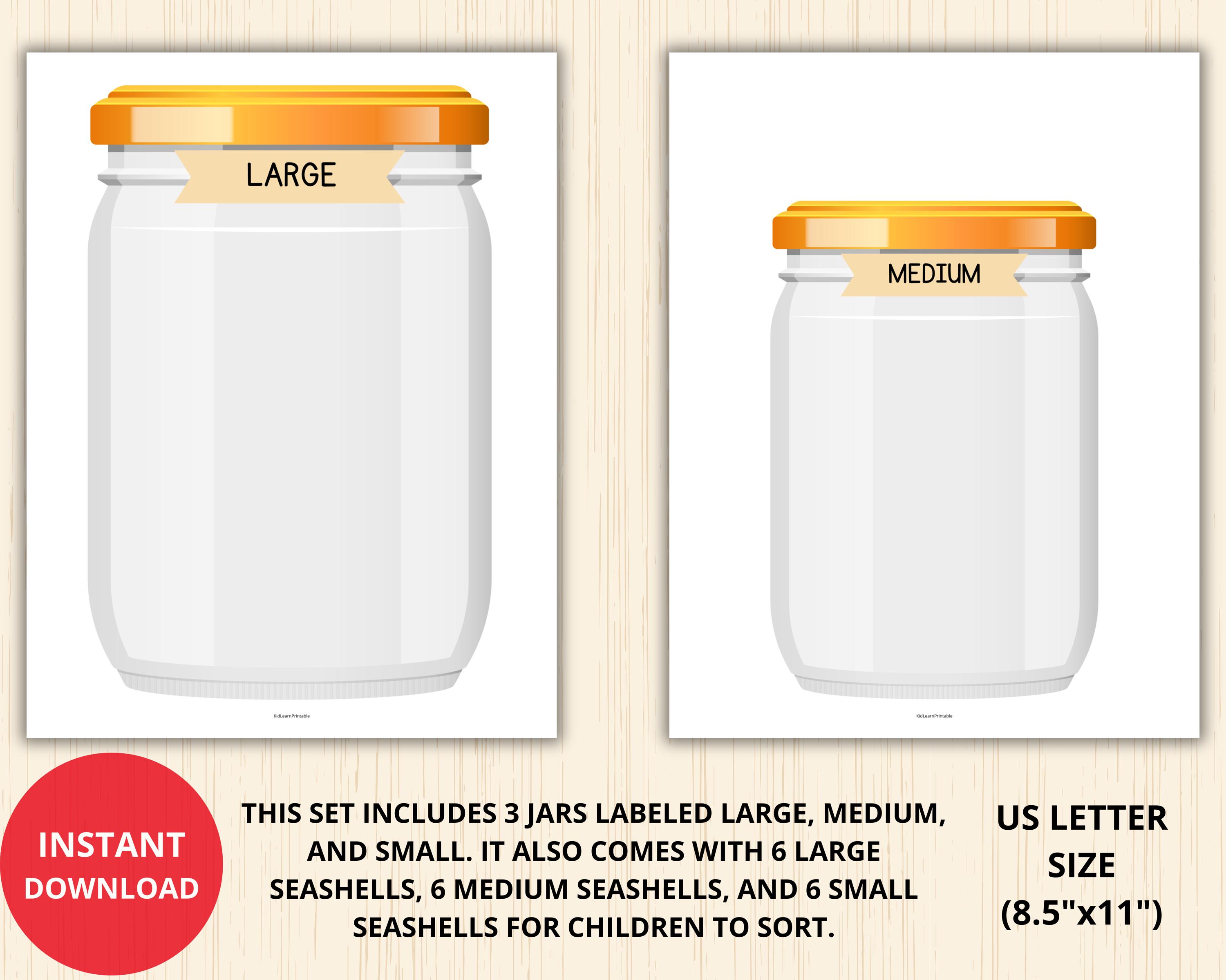 Seashell Size Sorting Game,sort by Size Worksheet,size Sorting Game ...