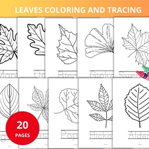 May include: A set of 20 coloring pages featuring line drawings of various leaves, including maple, oak, and birch. The pages are designed for coloring and tracing, with the text "LEAVES COLORING AND TRACING" at the top.