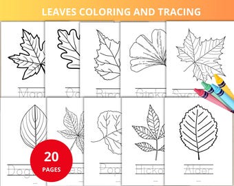 leaves coloring and tracing,Autumn Coloring Pages,fall tracing worksheets,kinder handwriting practice,autumn tracing sheets,tracing practice
