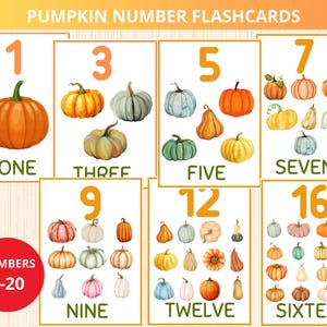 Peut inclure: Cartes flash de nombres de citrouilles avec des illustrations à l'aquarelle de citrouilles. Chaque carte affiche un nombre de 1 à 16, ainsi que le mot correspondant. Un cercle rouge en bas à gauche indique que l'ensemble comprend les nombres 1 à 20.