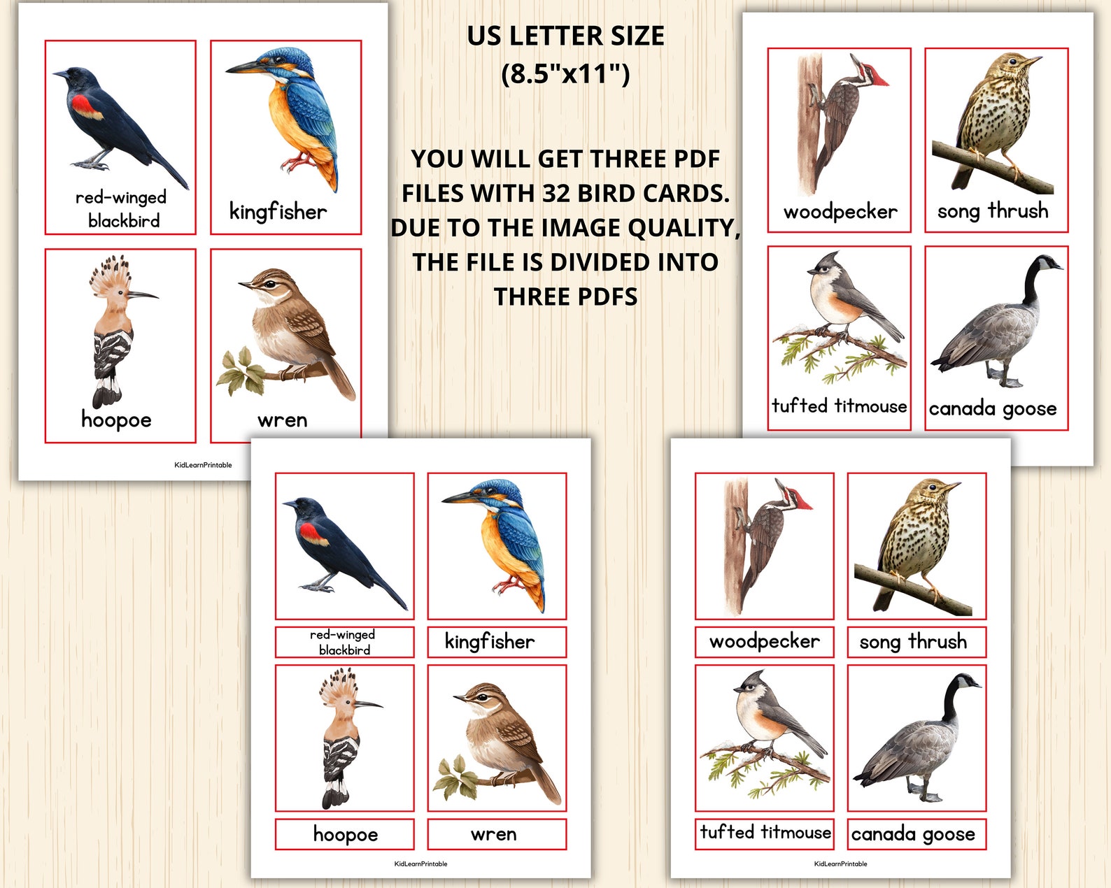 Birds Montessori Printable 3 Part Cards,us Bird Flashcards,spring ...