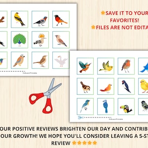 Bird Patterns,backyard Birds Activity,birds What Comes Next,pattern ...