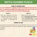 Beetle Number Puzzle,beetle Matching Activity,beetle Symmetry Puzzle ...
