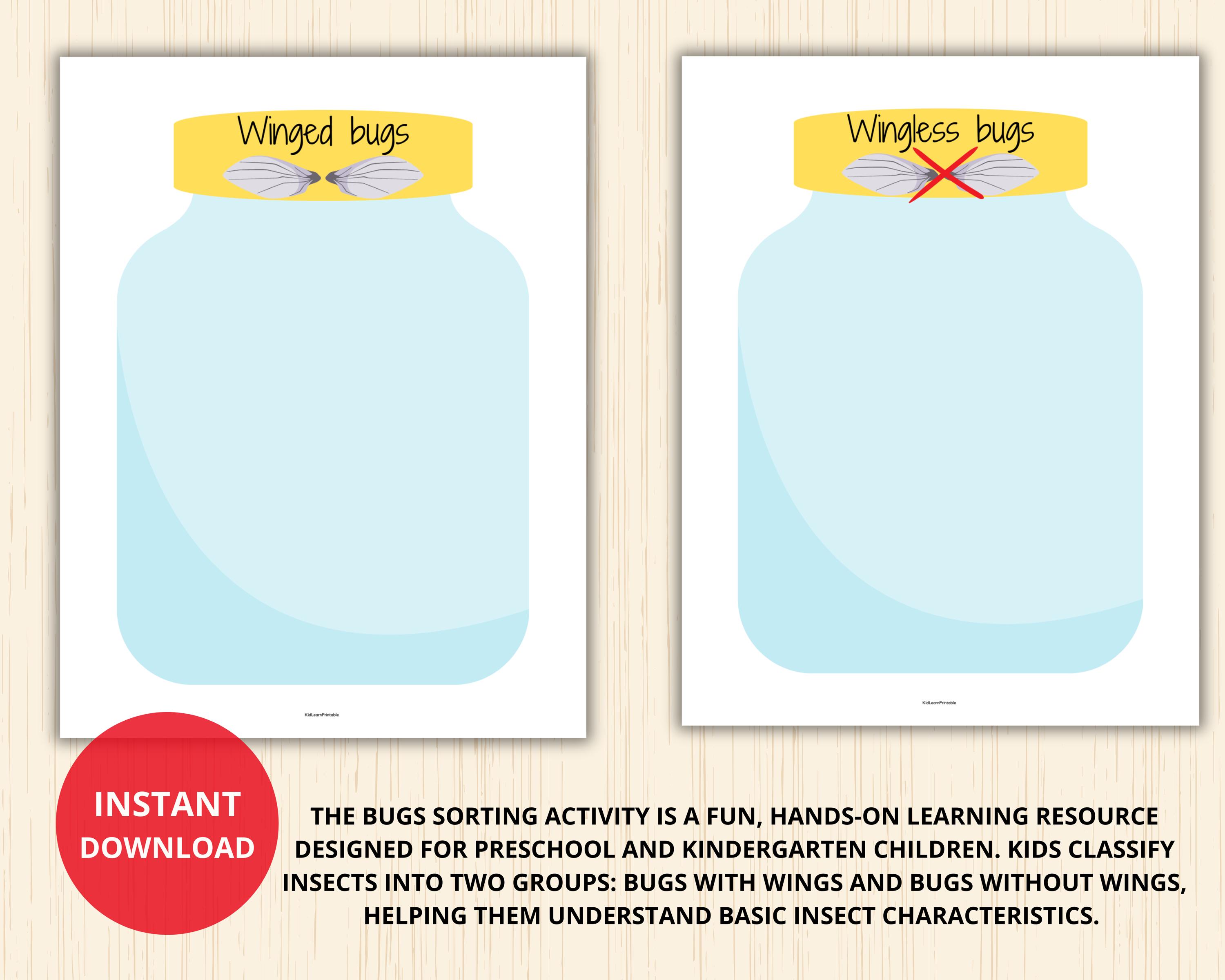 Bugs Sorting Activity,insect Sorting Game,preschool Insect,bug Unit ...