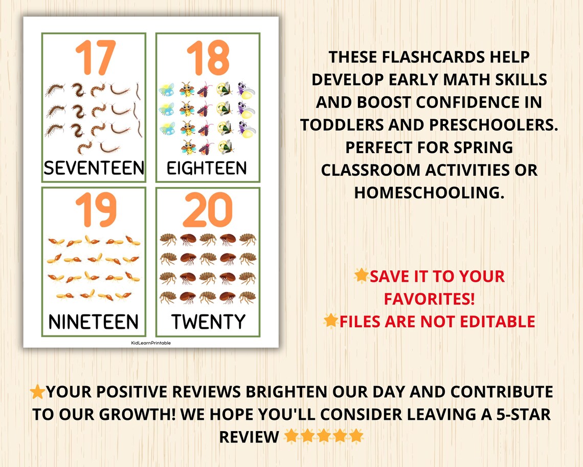 Bugs Number Flashcard,minibeast Number Cards,insect Preschool,nature ...