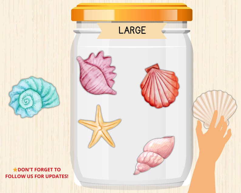 Sort Shells Worksheet Seashell Size Sorting Game,sort by Size Worksheet,size Sorting Game ...