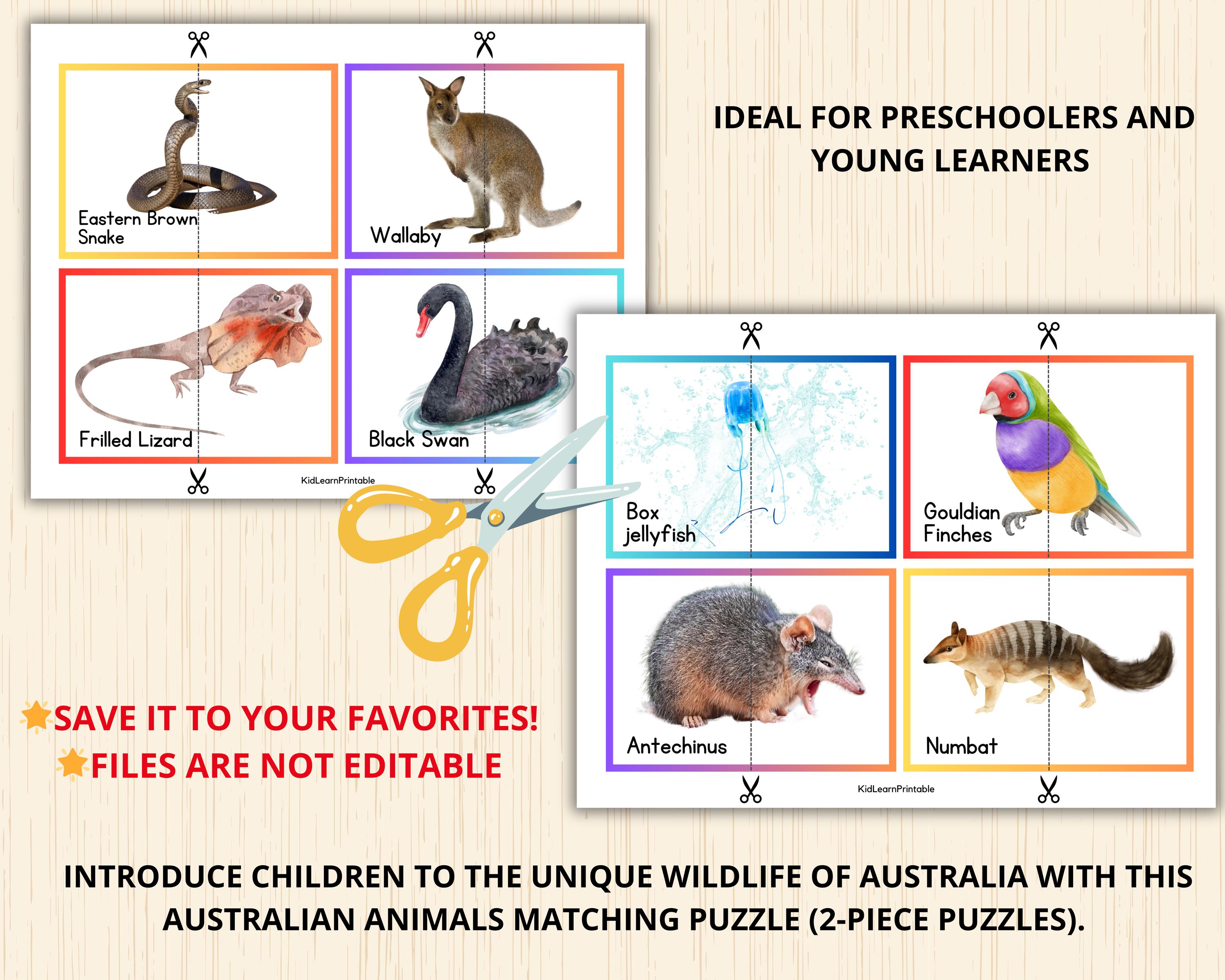 Australian Animals Puzzles,australian Animals Matching Game,australia ...