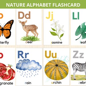 Alphabet nature, carte mémoire nature, étude de l'unité d'automne, cartes d'alphabet pour le préscolaire, cartes de lettres, montessori préscolaire nature, abc nature, pré-scolaire
