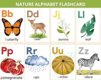 nature Alphabet,nature flashcard,Fall Unit Study,Alphabet Cards for Preschool,letters cards,nature preschool montessori,nature abc,Pre-K