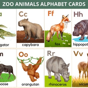 Cartes alphabet animaux du zoo, Cartes flash animaux, Animaux montessori, Cartes animaux safari, Cartes flash alphabet, Cartes flash ABC, Animaux sauvages, Prek